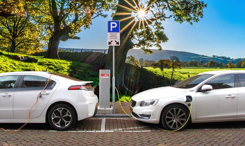 Environmentally Conscious Practices